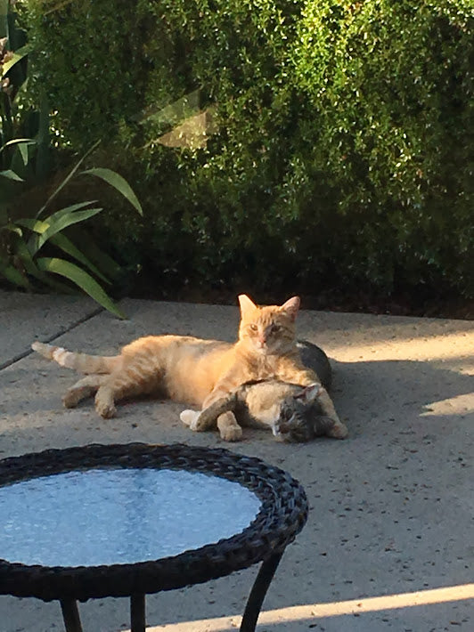 With Love from Oscar & Lyla Pt 1