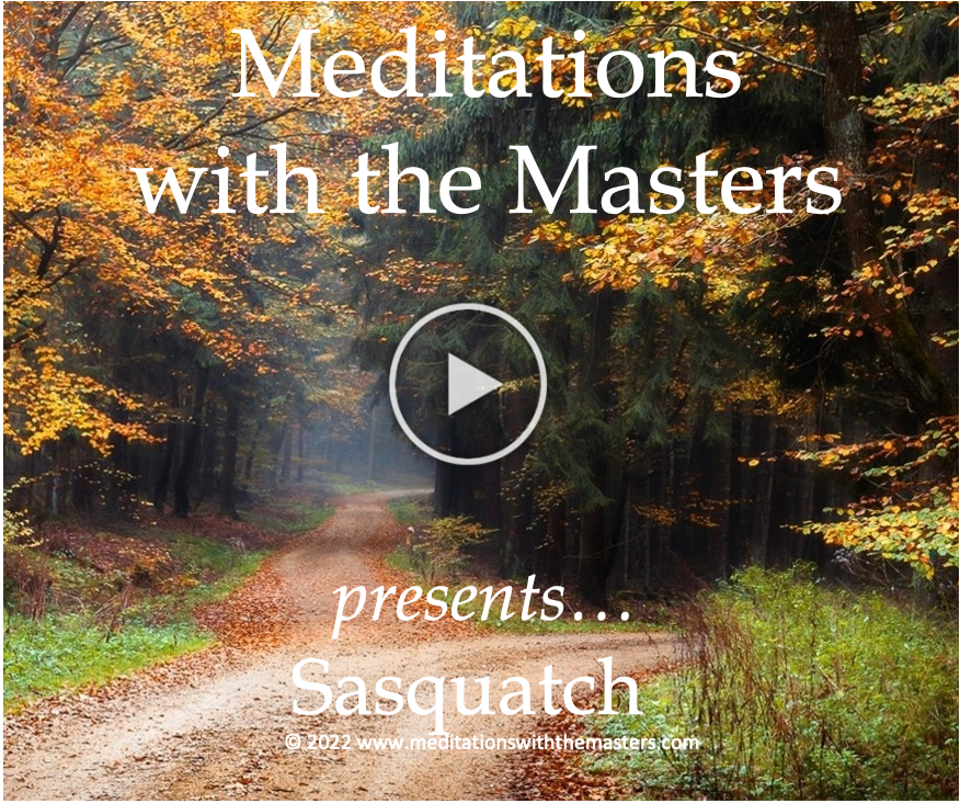 Guided Meditation with Sasquatch